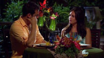 Chris and Desiree in ABC's "The Bachelorette."