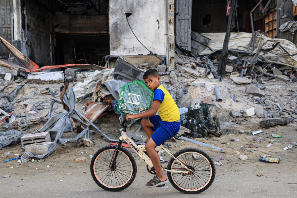 A Palestinian boy transports his bird, in a cage, on a bicycle past the rubble of a building.