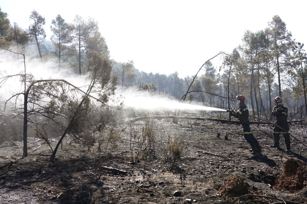 ESPAÑA INCENDIOS (AP)