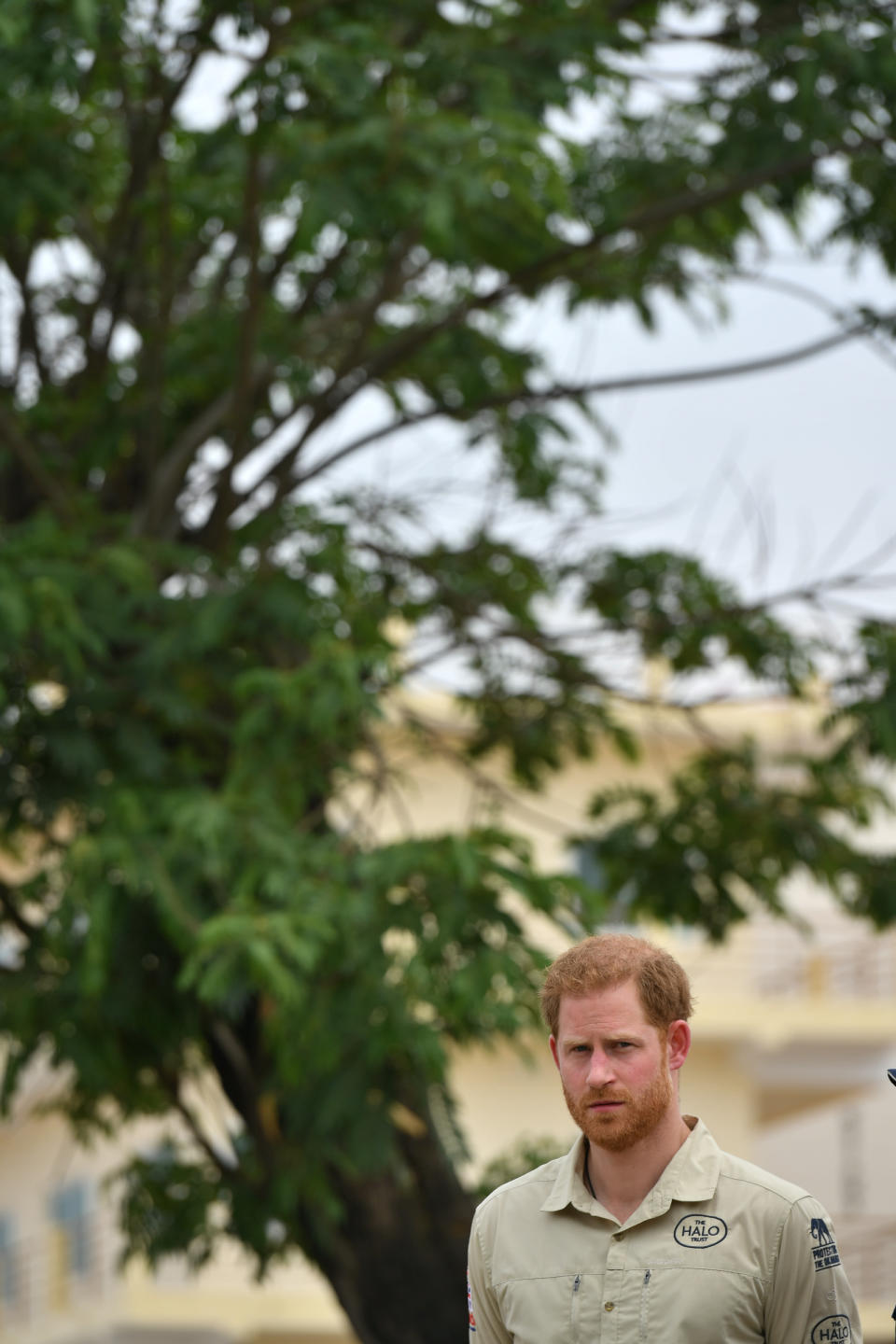 The Duke of Sussex in front of the Diana Tree in Huambo, Angola, on day five of the royal tour of Africa. The Duke is visiting the minefield where his late mother, the Princess of Wales, was photographed in 1997, which is now a busy street with schools, shops and houses.