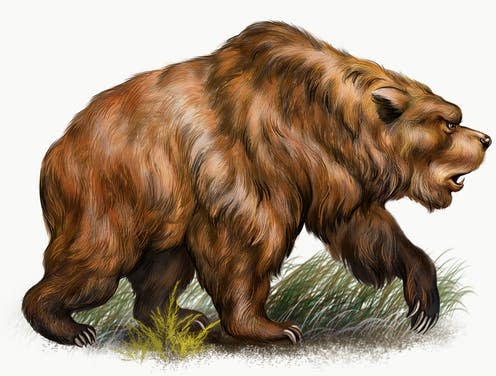 <span class="caption">Cave bears are now extinct.</span> <span class="attribution"><a class="link " href="https://www.shutterstock.com/image-illustration/cave-bear-ursus-spelaeus-realistic-drawing-1907166910" rel="nofollow noopener" target="_blank" data-ylk="slk:Shutterstock/Liliya Butenko;elm:context_link;itc:0;sec:content-canvas">Shutterstock/Liliya Butenko</a></span>