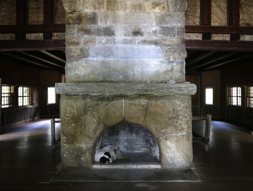 In this Tuesday, July 30, 2013 photo, Swix, a dog owned by master carpenter Michael Frenette, naps in a fireplace in the main hall at Camp Santanoni, an Adirondack great camp that is being restored, in Newcomb, N.Y. (AP Photo/Mike Groll)