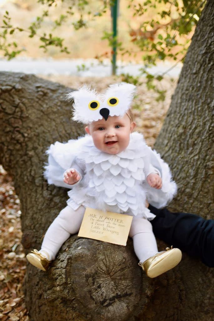 Baby Owl Costume