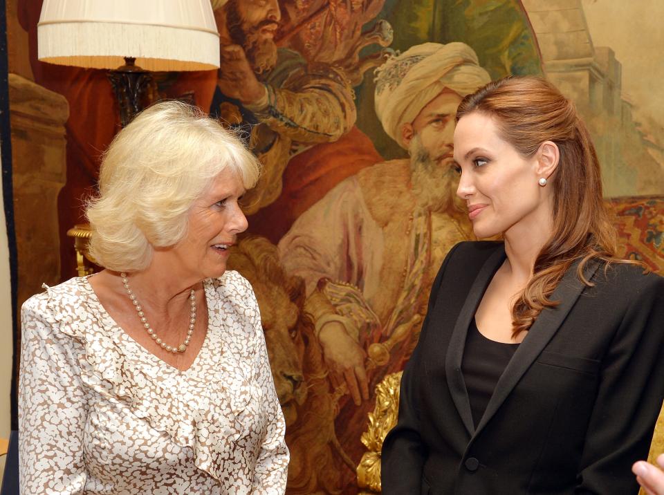 Camilla and Angelina Jolie – here in 2014 – have reportedly struck up an unlikely friendship. Source: Getty