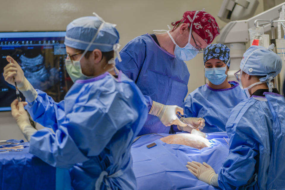 Dr. Jonathan Ferrari, left foreground, and members of the surgical team prepare to remove a tumor from a dog at the Schwarzman Animal Medical Center, Friday, March 8, 2024, in New York. (AP Photo/Mary Altaffer)