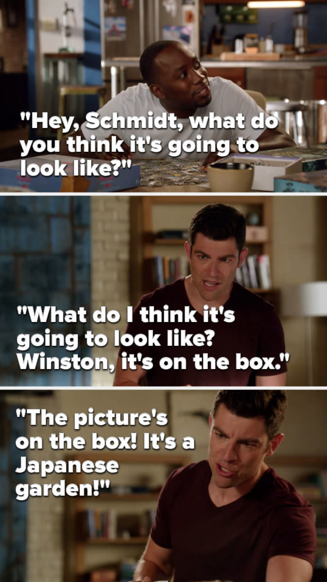 Winston, while doing a puzzle, asks, Hey, Schmidt, what do you think it's going to look like, to which Schmidt says, What do I think it's going to look like, Winston, it's on the box, the picture's on the box, it's a Japanese garden