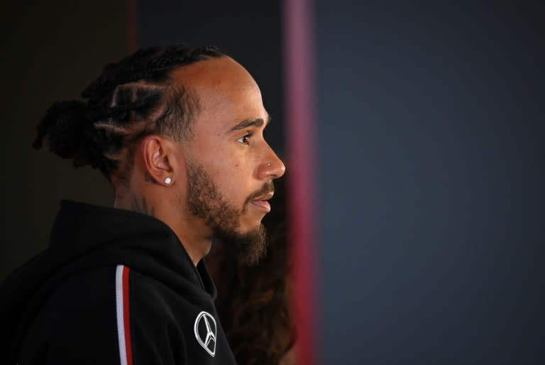 The time is ripe for a Grand Prix in Africa, insists Hamilton (JOHN THYS)