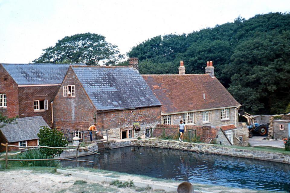 Isle of Wight County Press: The mill in the early 1970s.