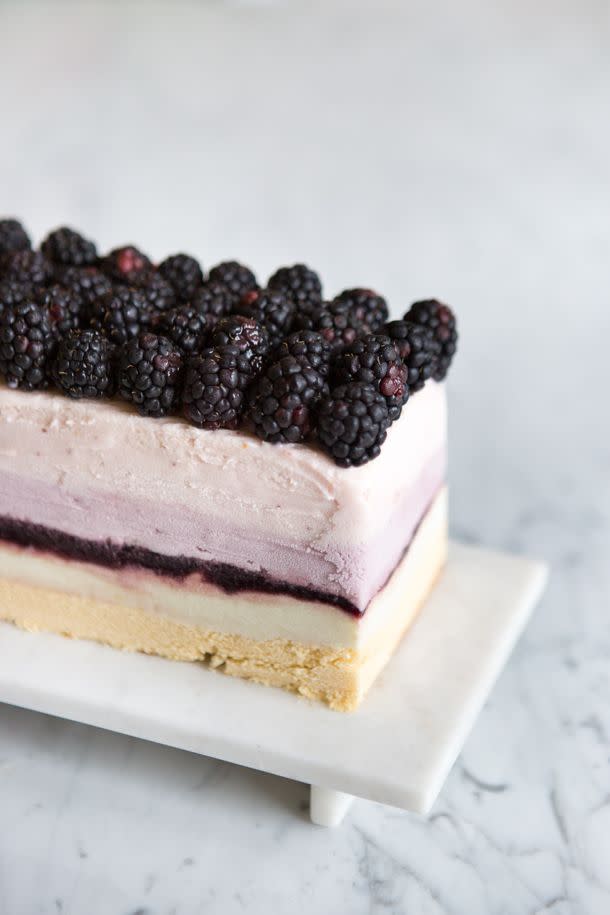 Summer Berry Ice Cream Cake