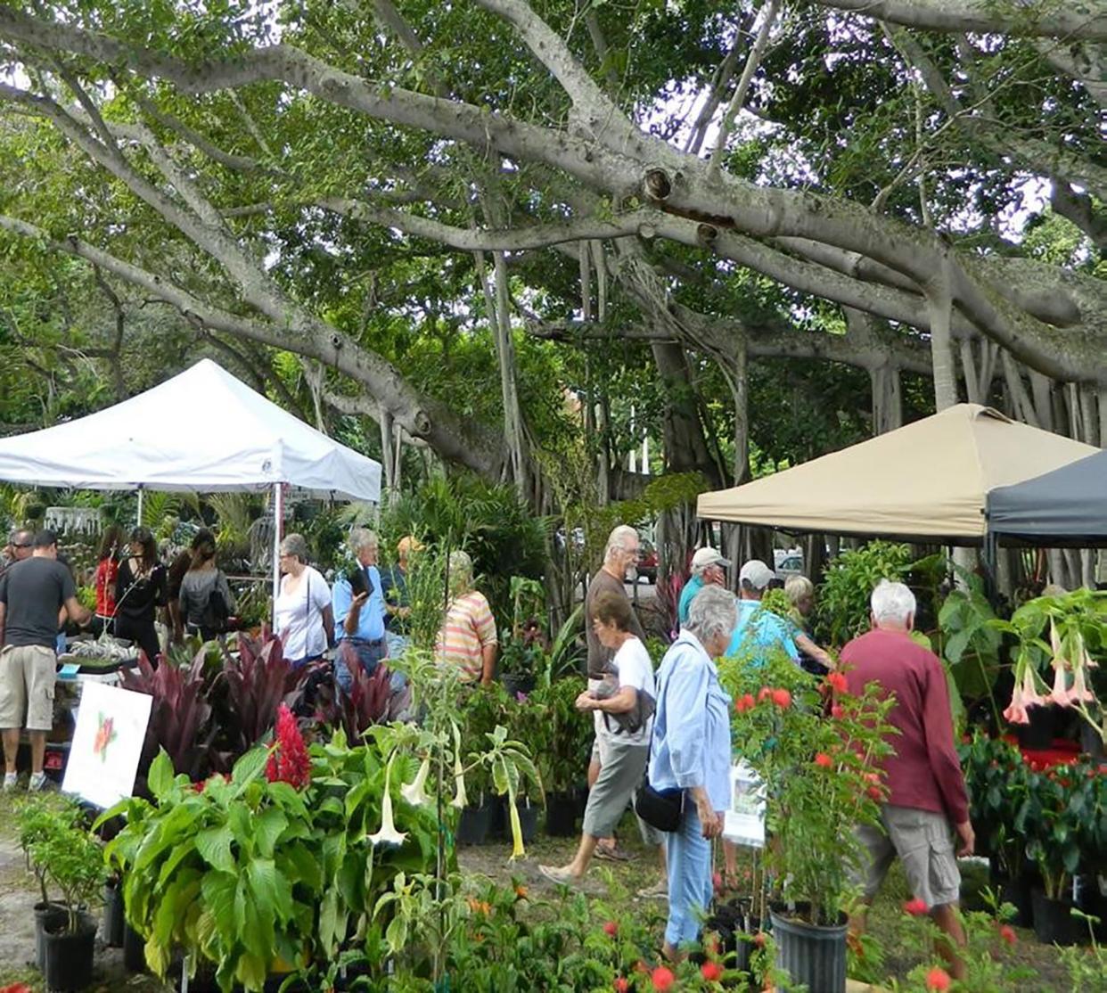 Guests shop for plants at the Edison and Ford Winter Estates Garden Festival.