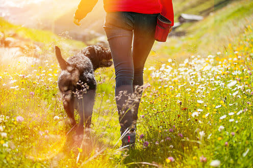 <span class="caption">Hurry up!</span> <span class="attribution"><a class="link " href="https://www.shutterstock.com/image-photo/young-woman-her-dog-walking-489511045?src=ivV86BCnRq7OgbXJc19rNw-1-35" rel="nofollow noopener" target="_blank" data-ylk="slk:Shutterstock;elm:context_link;itc:0;sec:content-canvas">Shutterstock</a></span>