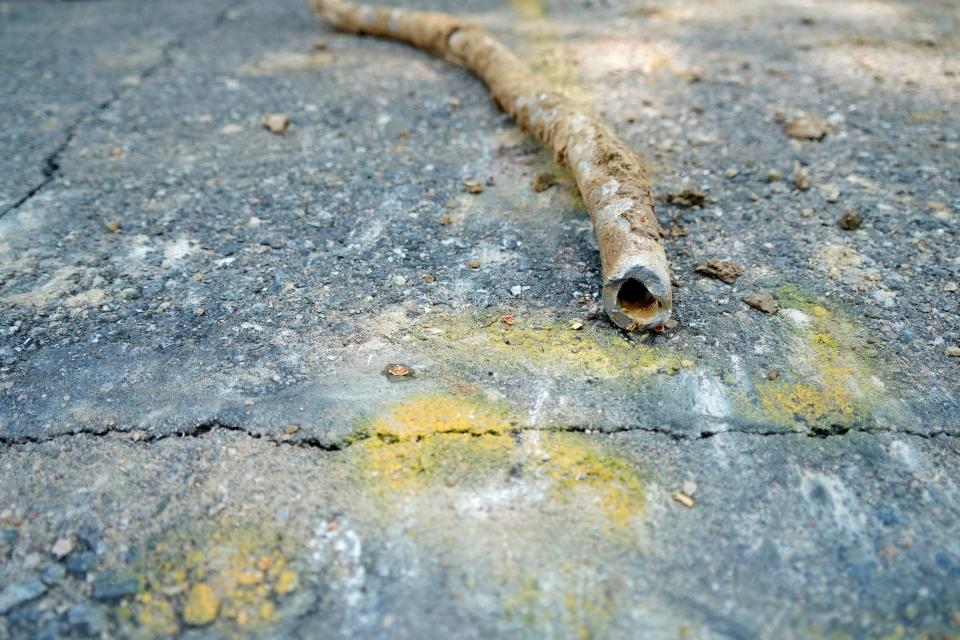 A lead water service line from 1927 lays on the ground on a residential street in Denver after being removed on June 17, 2021.