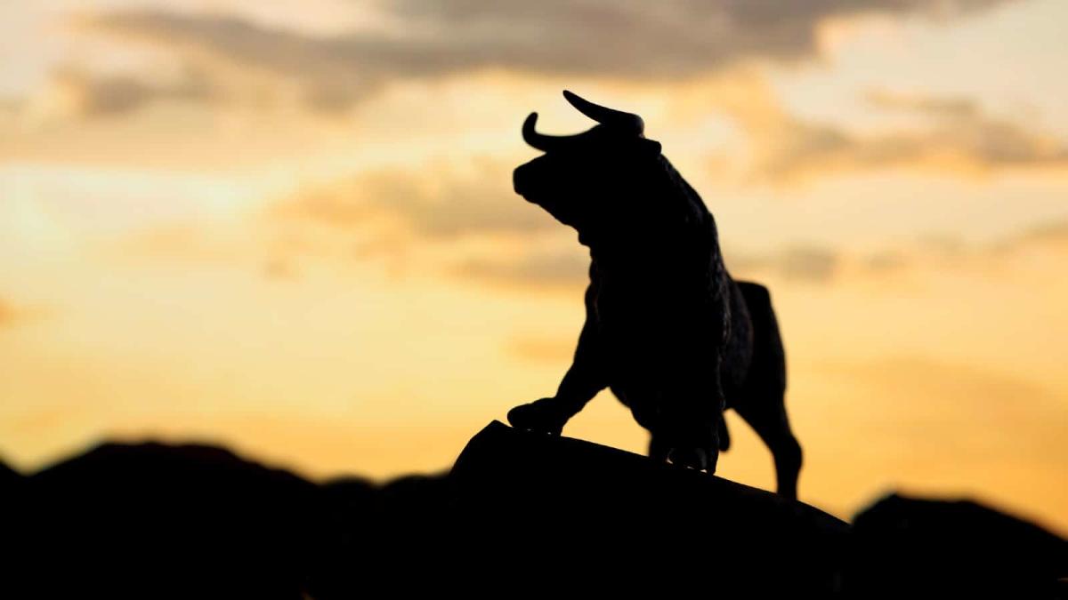 5 FTSE Stocks Fools Think Will Lead the Next Bull Market