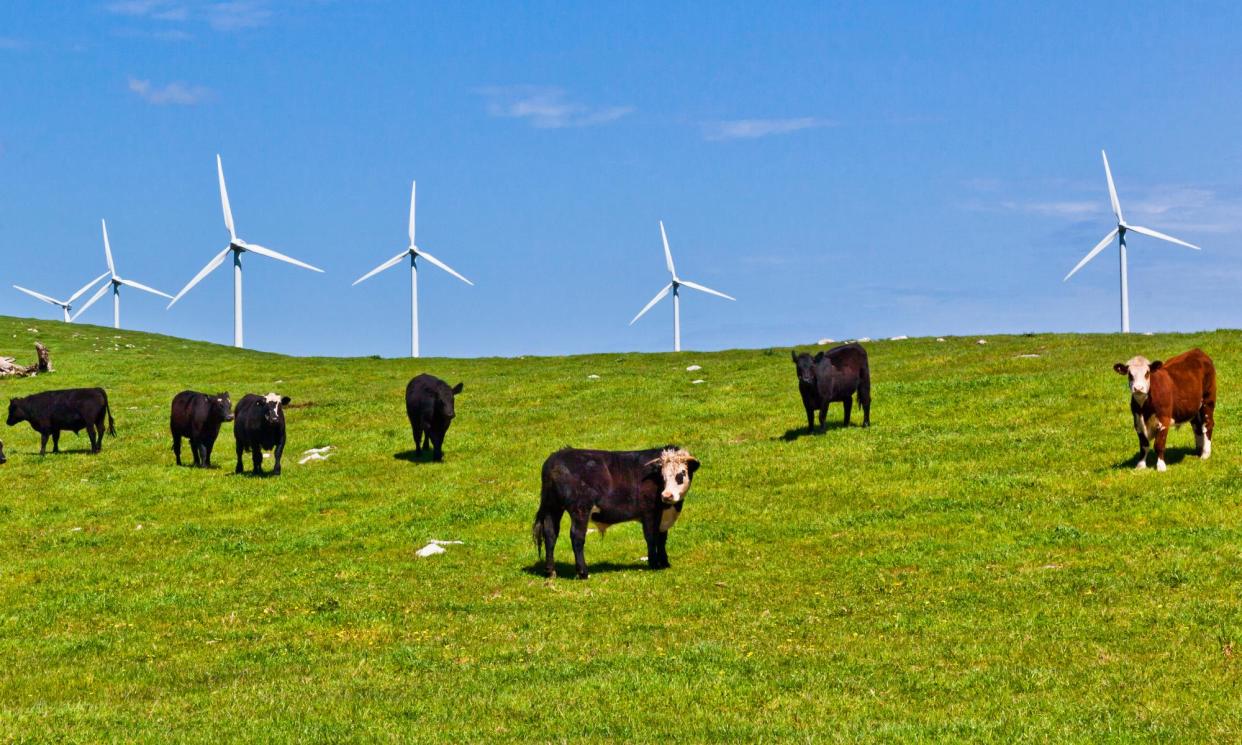 <span>Australians have already shifted from beef and lamb and towards less emissions-intensive pork and chicken in recent decades, a report says.</span><span>Photograph: Manfred Gottschalk/Getty Images</span>