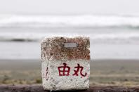 A stone block carved with Japanese characters is pictured. The debris has been collected by locals who claim that they have seen even more of it washed up lately.