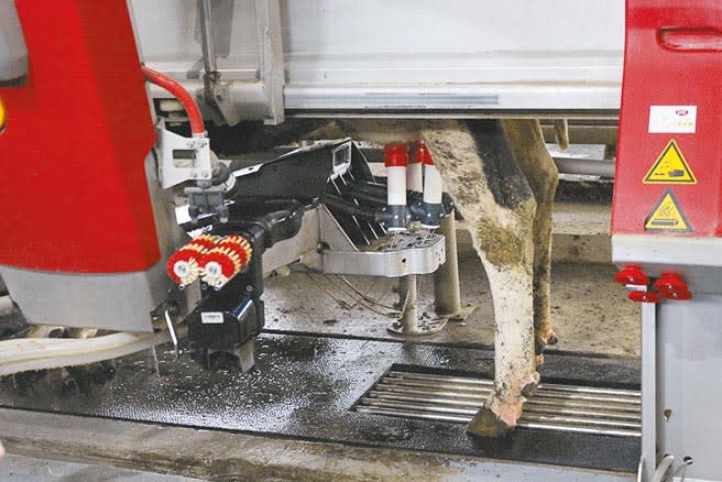 行政院農委會畜產試驗所導入智慧農業4.0生乳產業機器人，8日於苗栗縣西湖乳牛示範擠乳機器人運作。（巫靜婷攝）