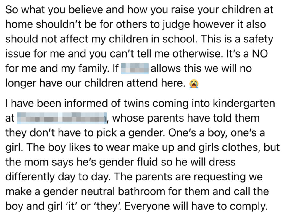 Text detailing a parent's concern about gender identity issues, safety, and policy in a school environment, mentioning a specific case of twins with non-traditional gender expressions and impact on facilities use