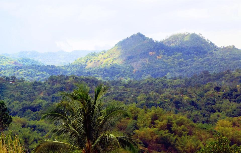 On a particularly clear day, you may even be able to spot Cuba from the top of Blue Mountain Peak (Getty Images/iStockphoto)