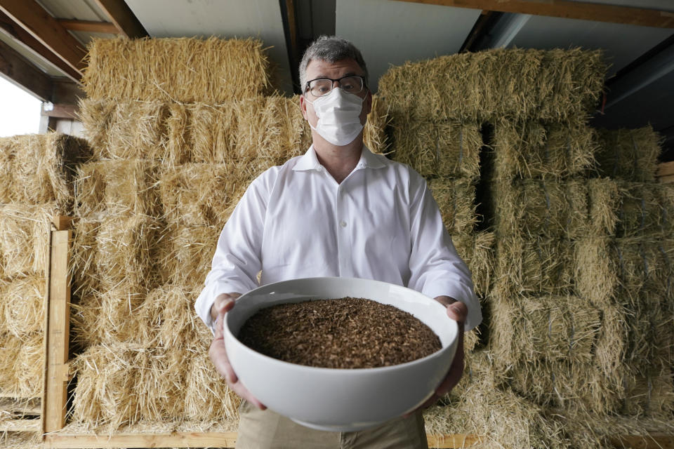 Micah Truman, CEO of Return Home, a company that composts human remains into soil, poses for a photo, Wednesday, Sept. 15, 2021, in Auburn, Wash., south of Seattle. Truman is holding a container of soil made with animal remains that is used to show what the product of their process looks like. Behind him are bales of straw, which is used in the two-month composing process. Earlier in September, Colorado became the second state after Washington to allow human body composting, and Oregon will allow the practice beginning next July. (AP Photo/Ted S. Warren)