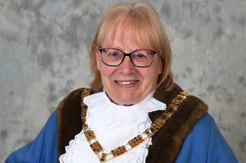 Conservative Howdenshire ward's Cllr Linda Bayram was elected to be East Riding Council's chairman for the coming year