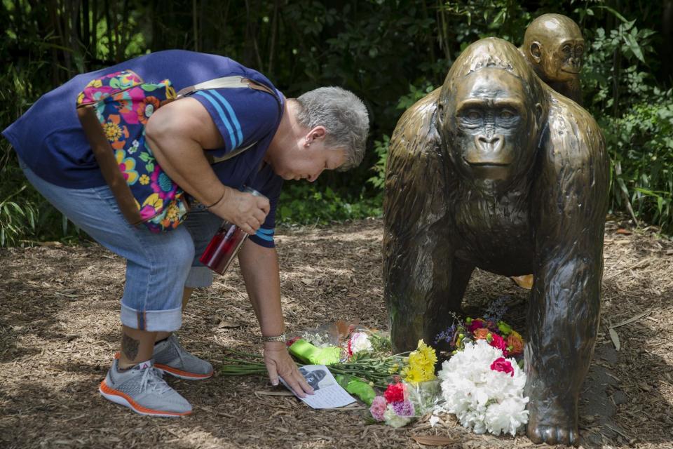 FILE - In this May 29, 2016, file photo, Eula Ray, of Hamilton, whose son is a curator for the zoo, touches a sympathy card beside a gorilla statue outside the Gorilla World exhibit at the Cincinnati Zoo & Botanical Garden in Cincinnati. A Cheeto that bears a resemblence to the slain gorilla sold for nearly $100,000 on eBay Tuesday, Feb. 7, 2017. (AP Photo/John Minchillo, File)