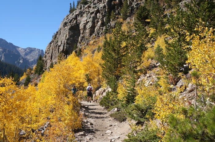 Autumn aspen on the Glacier Gorge trail in Rocky Mountain National Park