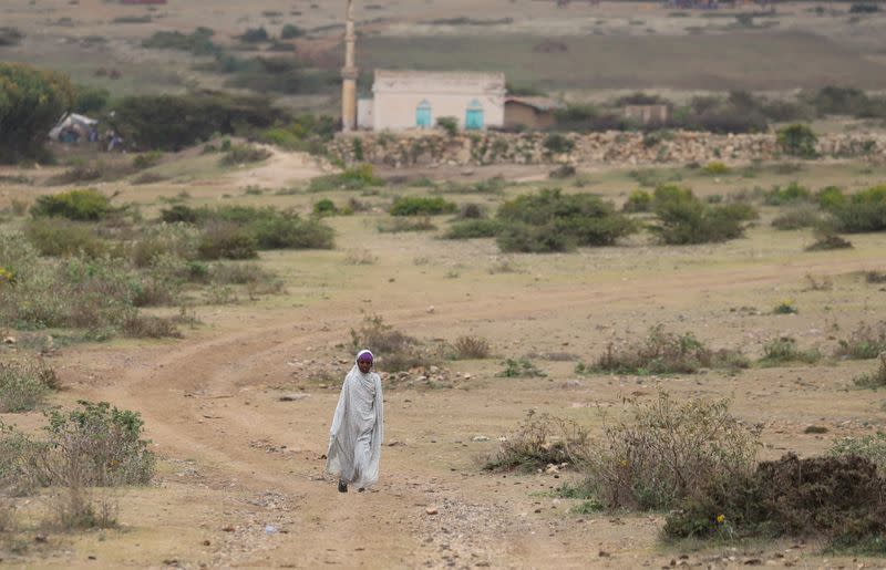 An internally displaced Ethiopian girl walks back to her village Sariir in Somali Region