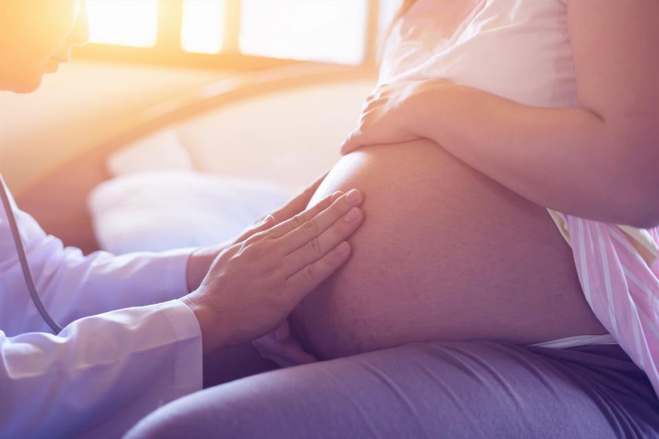 Doctor Touching Pregnant Belly Woman Sitting