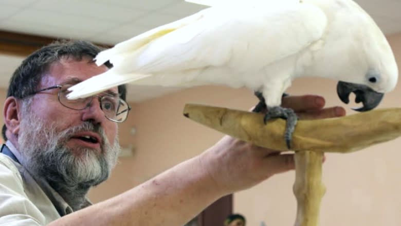 Who's a clever bird? Calgary school trains feathered friends