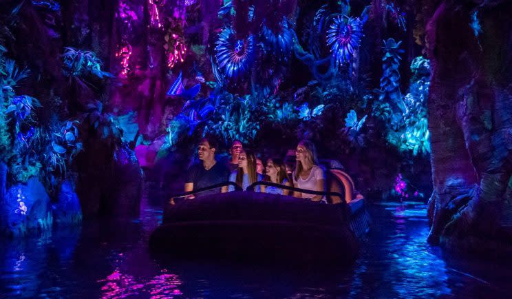 Avatar fans head down a Pandoran river - Credit: Disney