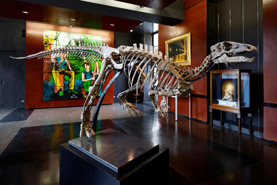 A restored iguanodon skeleton.