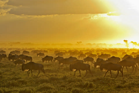 Sunset over the Serengeti... pure magic - Credit: Winfried Wisniewski