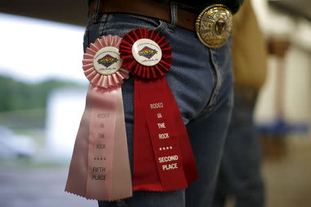 A competitor displays prize ribbons and a belt buckle at the International Gay Rodeo Association's Rodeo In the Rock in Little Rock, Arkansas, United States April 26, 2015. REUTERS/Lucy Nicholson