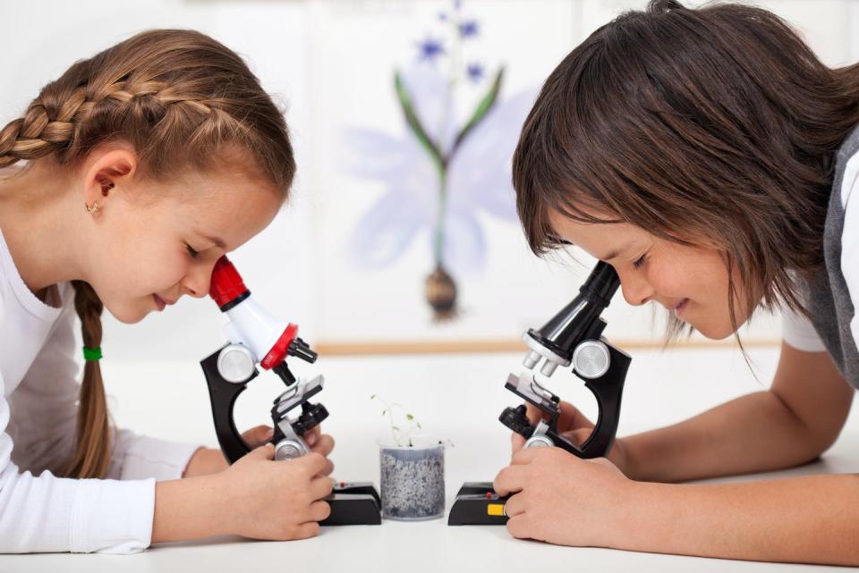 <a href="https://www.shutterstock.com/es/image-photo/young-kids-science-lab-study-samples-273902540" rel="nofollow noopener" target="_blank" data-ylk="slk:Shutterstock / Ilike;elm:context_link;itc:0;sec:content-canvas" class="link ">Shutterstock / Ilike</a>