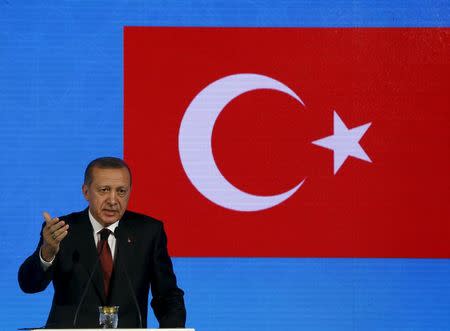 Turkish President Recep Tayyip Erdogan speaks during a news conference after a meeting Japanese Prime Minister Shinzo Abe in Istanbul, November 13, 2015. REUTERS/Osman Orsal