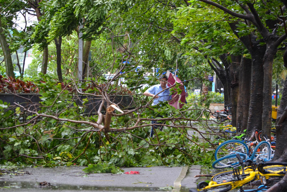 <p>A man walks among tree branches broken by strong winds brought by Typhoon Hato in Shenzhen, Guangdong province, China, Aug. 23, 2017. (Photo: Stringer/Reuters) </p>