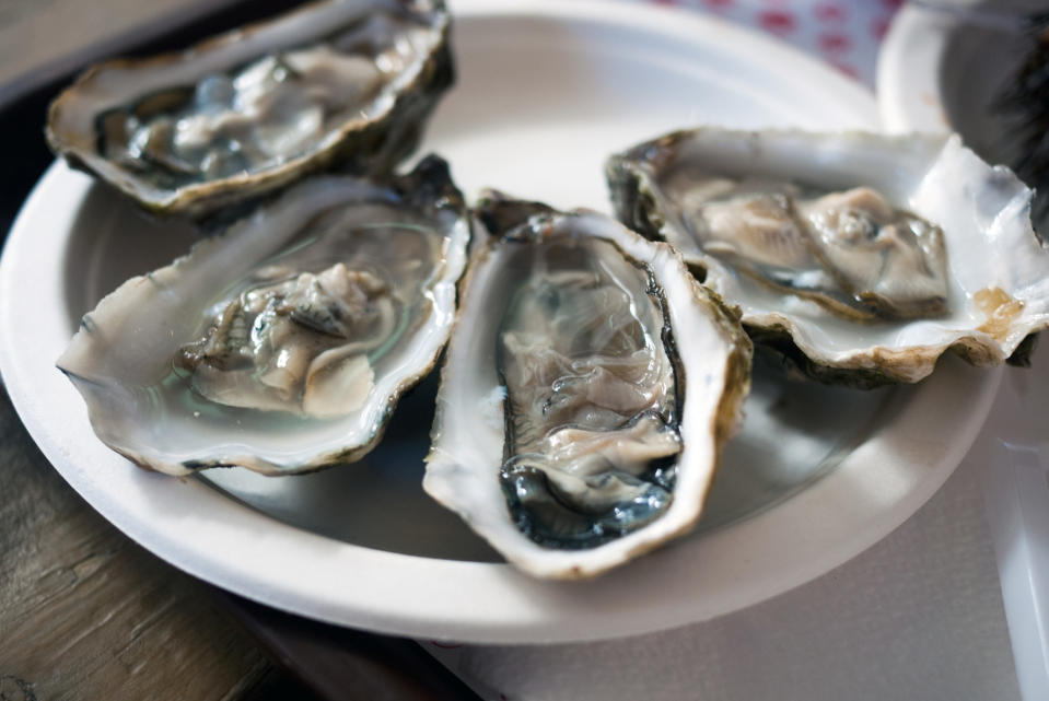 plate of raw oysters