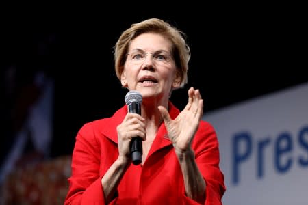 2020 Democratic U.S. presidential candidate and U.S. Senator Elizabeth Warren speaks during the Presidential Gun Sense Forum in Des Moines