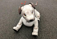 Sony's original Aibo robotic dog blew the public's collective mind when itdebuted in 1999, instantly becoming a cultural touchstone and commanding arabidly loyal fan base