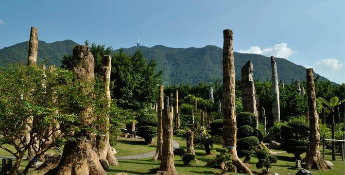 深圳一日遊