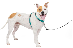 PetSafe 3 in 1 No-Pull Dog Harness