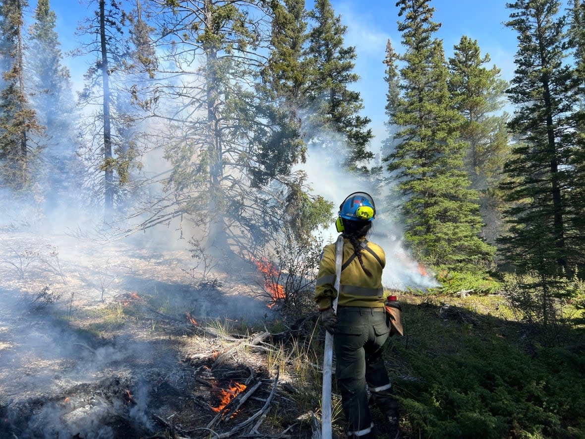 Parks Canada officials say there was 'negligible growth' of the Chetamon Mountain wildfire Saturday. As of Sunday, the fire was an estimated 5,800 hectares. (Submitted by Parks Canada - image credit)