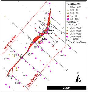 Drill hole locations in the Big Vein area showing gold in rock and soil anomalies.