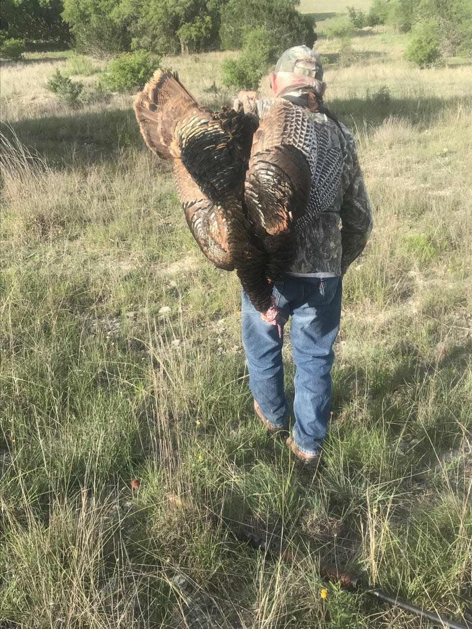 Maurice Estlinbaum begins the walk back to the Jeep carrying the gobbler he just killed on a recent Hill Country hunt at Camp Verde Ranch. “I want you to take me some place and drop me off so I can call and have a chance at another gobbler,” Estlinbaum said the night before. He made the most of his chance.