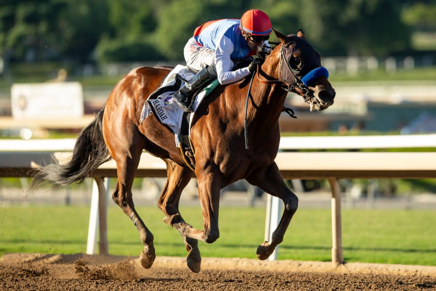 FILE – In a photo provided by Benoit Photo, Muth, ridden by jockey Juan Hernandez, wins the Grade I, $300,000 American Pharoah Stakes horse race Saturday, Oct. 7, 2023, at Santa Anita in Arcadia, Calif. A Kentucky appeals court judge on Wednesday, April 24, 2024, has denied Zedan Racing Stables’ requests for an emergency hearing and ruling that sought to allow Bob Baffert-trained Arkansas Derby winner Muth to run in next week’s Kentucky Derby at Churchill Downs. (Benoit Photo via AP, File)