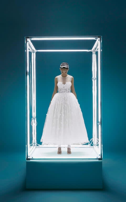 A look from the H&M x Giambattista Valli collection