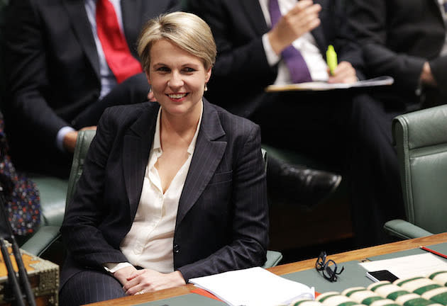 Tanya Plibersek Calls For Labor MPs To Vote For Same-Sex Marriage