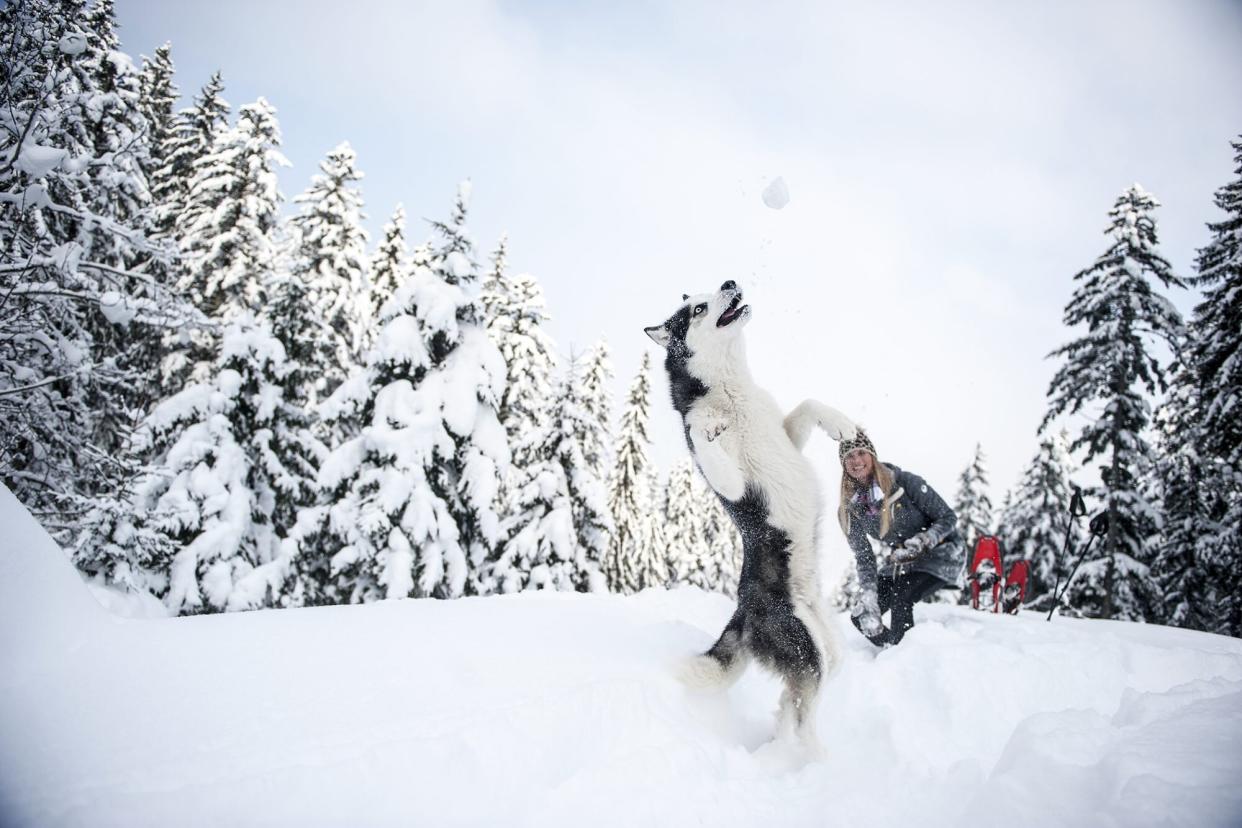 woman and her husky playing in the snow; winter bucket list