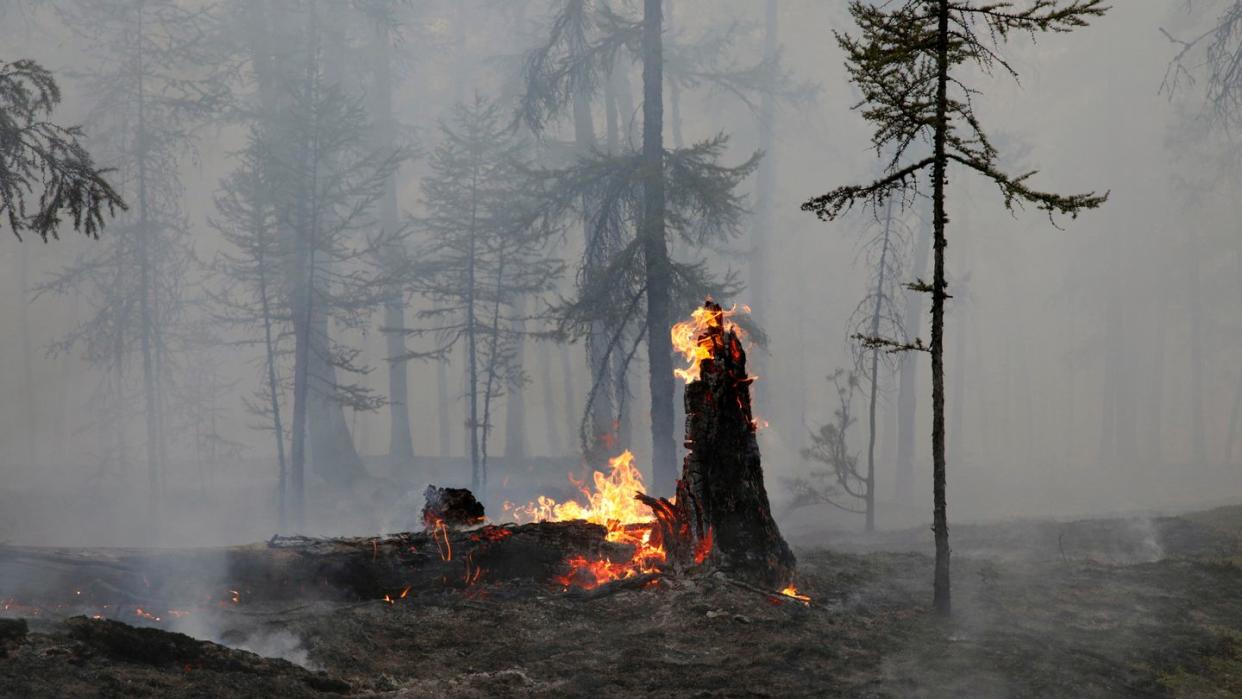 In der Region Jakutsk brennt der Wald an vielen Stellen.