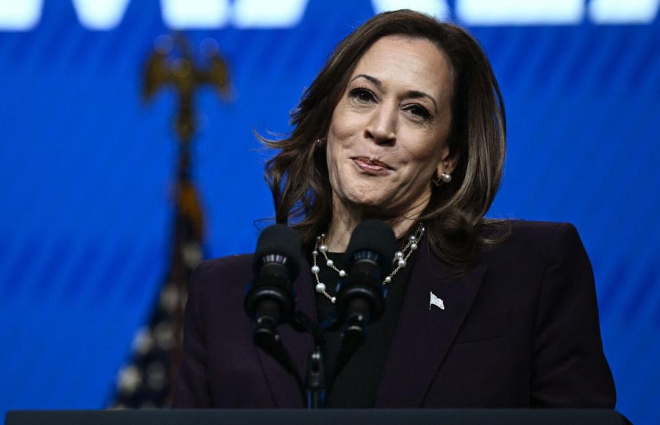 Vice President Kamala Harris has sought to tie Donald Trump to policy positions and other ideas for reforming the government put forward by Project 2025 (AFP via Getty Images)